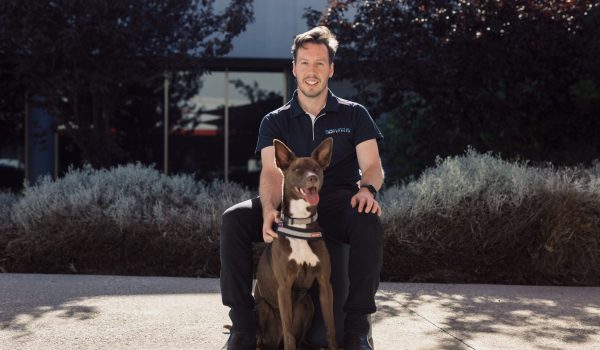 Silentium-Defense-Staff-2024-04